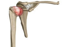 Frozen Shoulder/ Adhesive Capsulitis